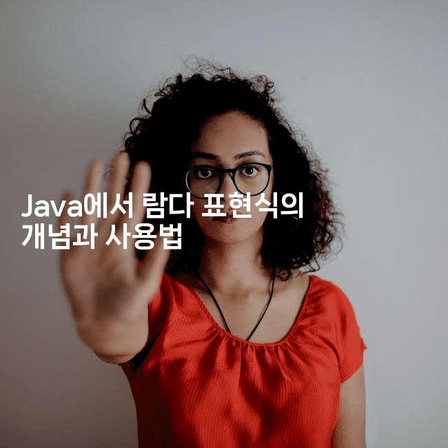 Java에서 람다 표현식의 개념과 사용법
2-자바림