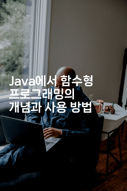 Java에서 함수형 프로그래밍의 개념과 사용 방법
-자바림