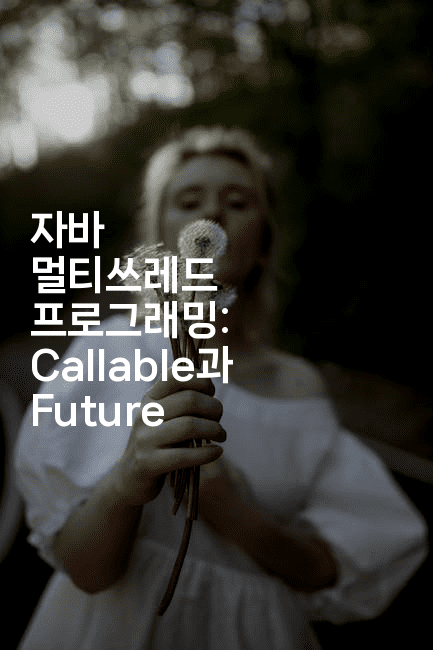 자바 멀티쓰레드 프로그래밍: Callable과 Future
-자바림