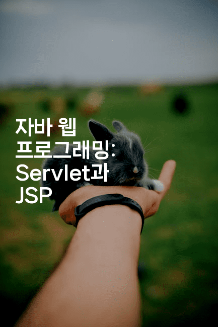 자바 웹 프로그래밍: Servlet과 JSP-자바림