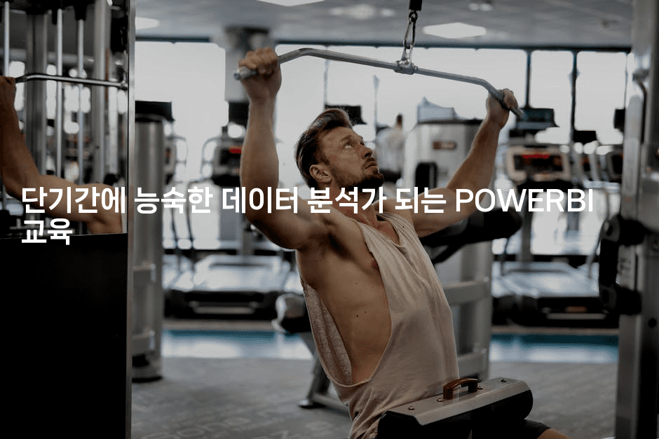 단기간에 능숙한 데이터 분석가 되는 POWERBI 교육 -자바림