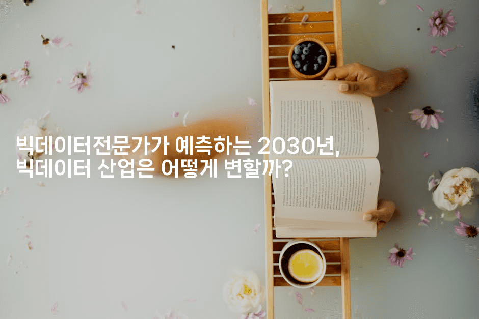 빅데이터전문가가 예측하는 2030년, 빅데이터 산업은 어떻게 변할까?