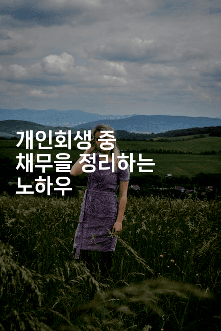 개인회생 중 채무을 정리하는 노하우-자바림