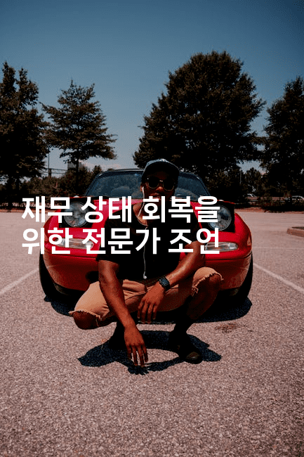 재무 상태 회복을 위한 전문가 조언-자바림