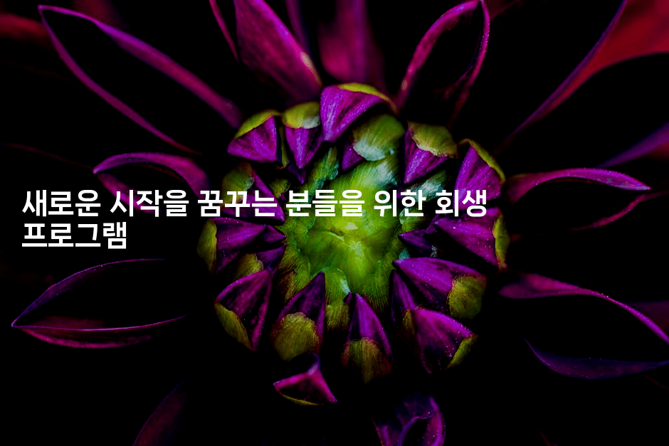 새로운 시작을 꿈꾸는 분들을 위한 회생 프로그램