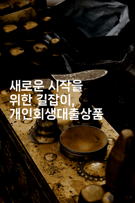 새로운 시작을 위한 길잡이, 개인회생대출상품