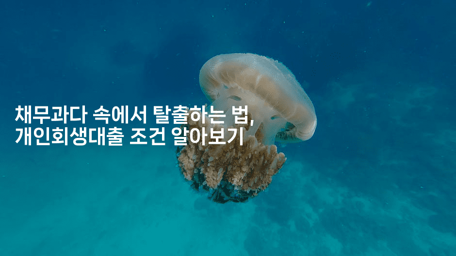 채무과다 속에서 탈출하는 법, 개인회생대출 조건 알아보기-자바림