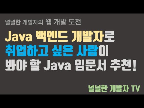 백엔드 개발자 취업을 위한 Java 프로그래밍 입문서 추천