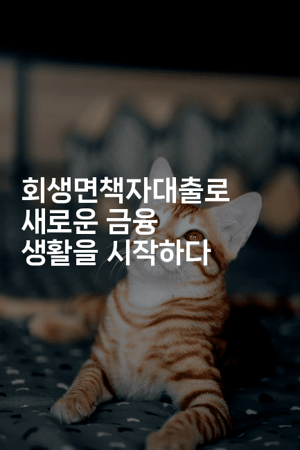 회생면책자대출로 새로운 금융 생활을 시작하다-자바림